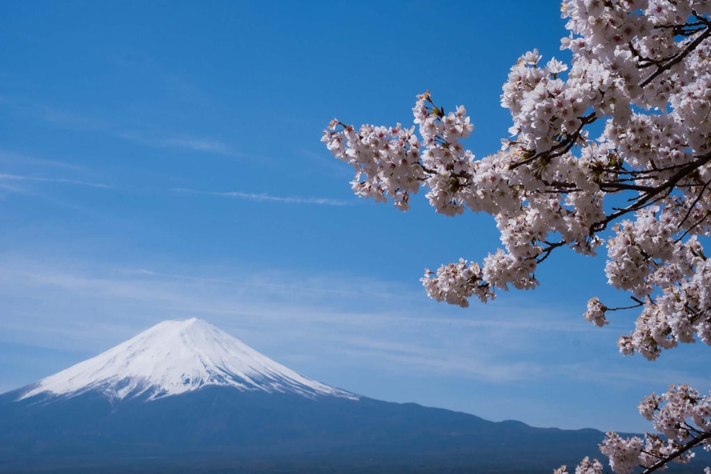 Sora 平和